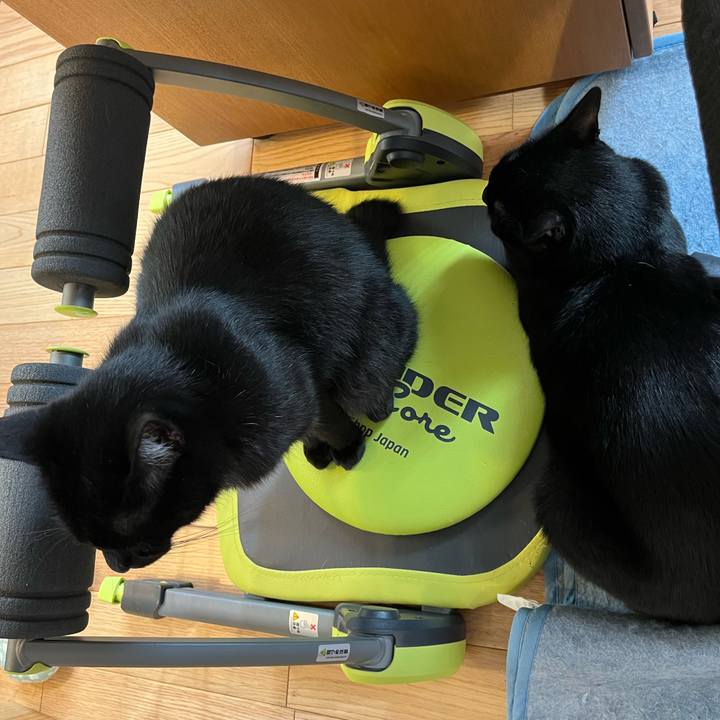 173079d9 5f5d 43c0 b3a6 399d83d0a45d 1653954377821