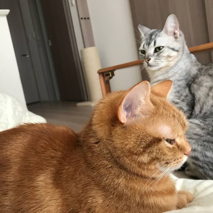 17308230 c797 4e81 a4ad e52b6932e21f 1525396328059