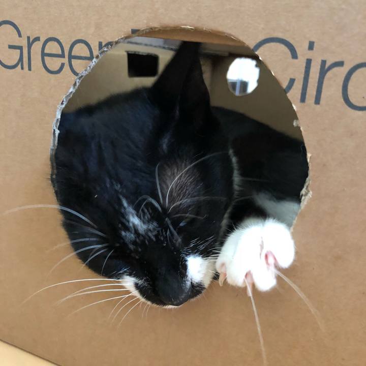 17308a2a 605b 4264 8e6a 5a44e809d79b 1532931400008