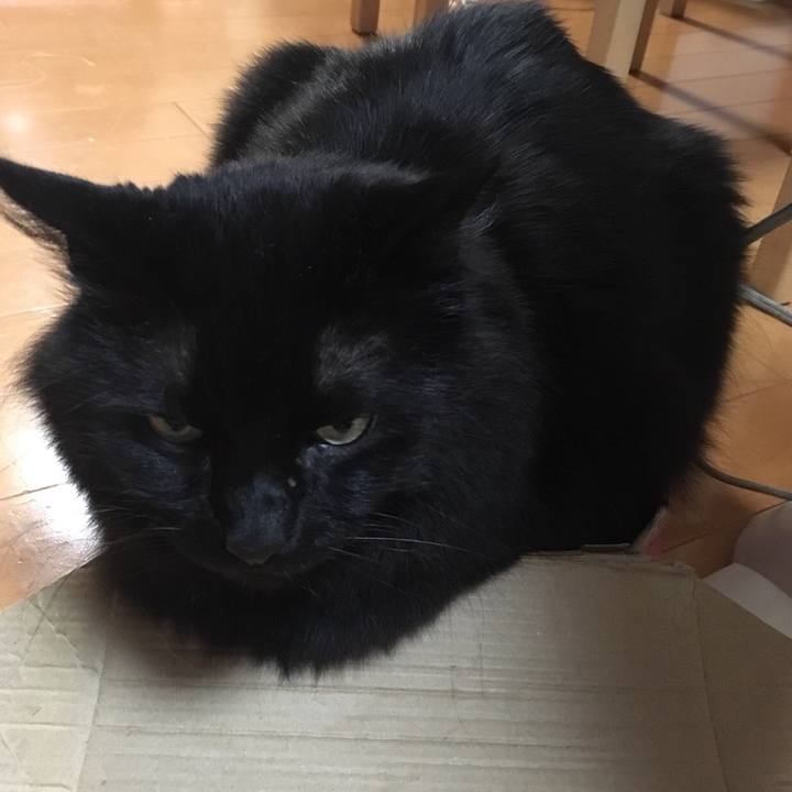 17308ee3 d388 4df9 8901 537e4e1a32f0 1519039613014