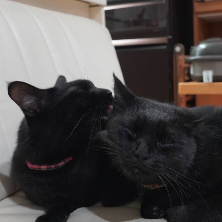 1730a890 83fd 49fa 9ca5 57239346c386 1599998494004