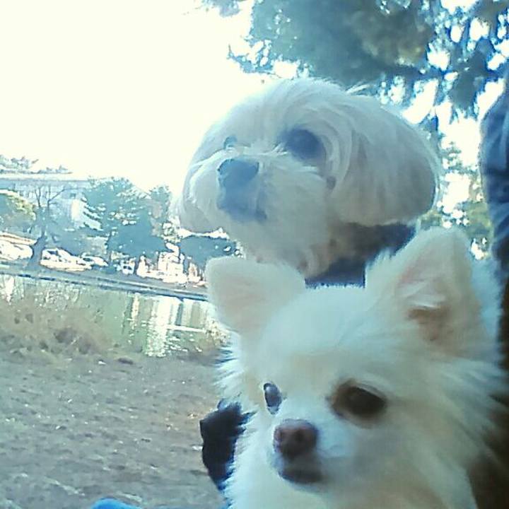 1730bb49 5dce 4059 8a63 f663dbcffb6c 1547644752149