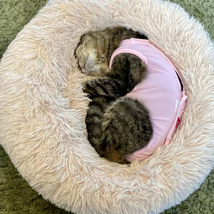 1730d949 0755 40c3 a46a a0b90f7f5bed 1685682128244