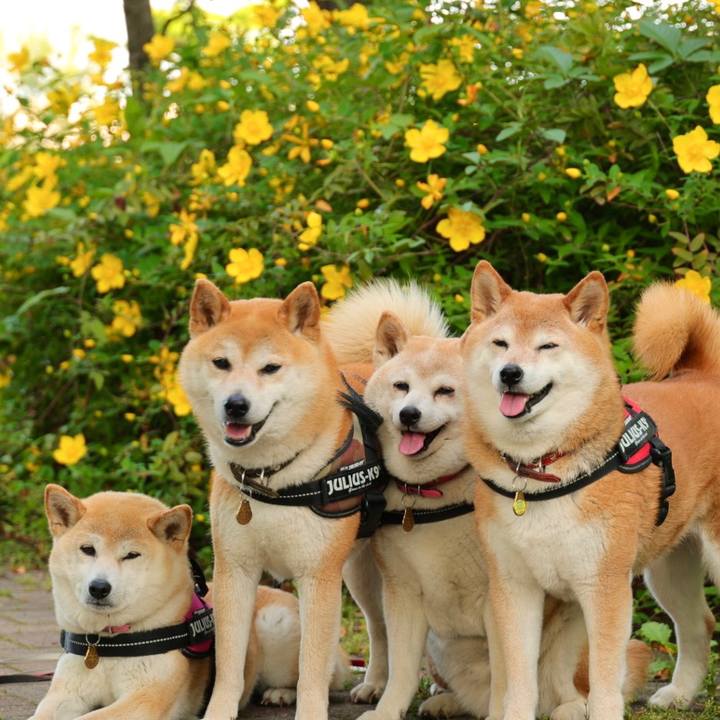 1730d965 4265 47a8 9d68 c71e134c8589 1653750337957