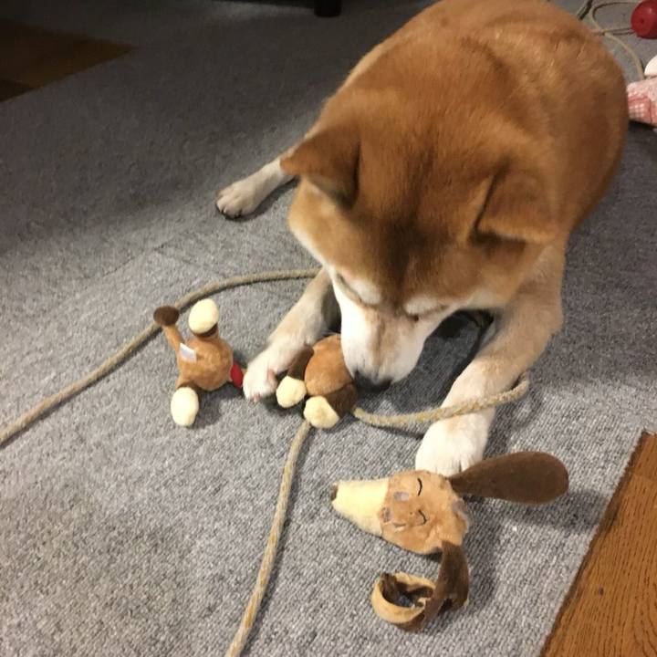 1730e751 0ed5 4b8b b1e5 fbf5226c7732 1509960576069