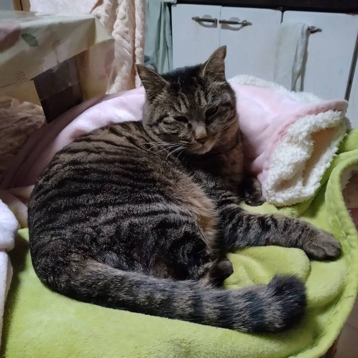 17312b2d 1754 4018 90b6 40e17a7d7a20 1676939309193