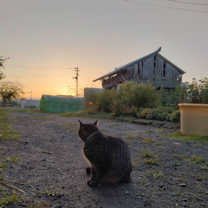 17314bfb 2c1e 4d93 ab4a 9d1ed67054eb 1696285785486