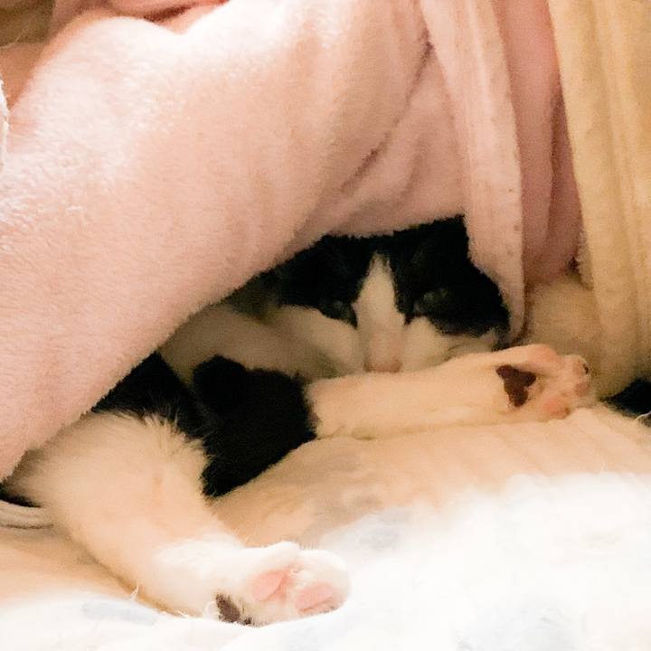 17314f50 c4c5 4dd9 8ab1 e171a6030781 1582250354013