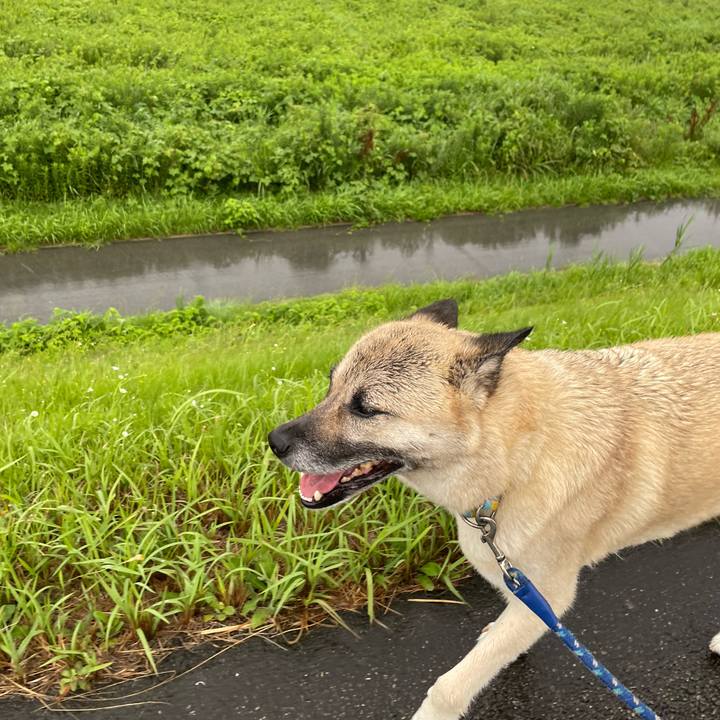 1731eaaf 1b99 4a87 88e2 de8e5453b76a 1656157057307