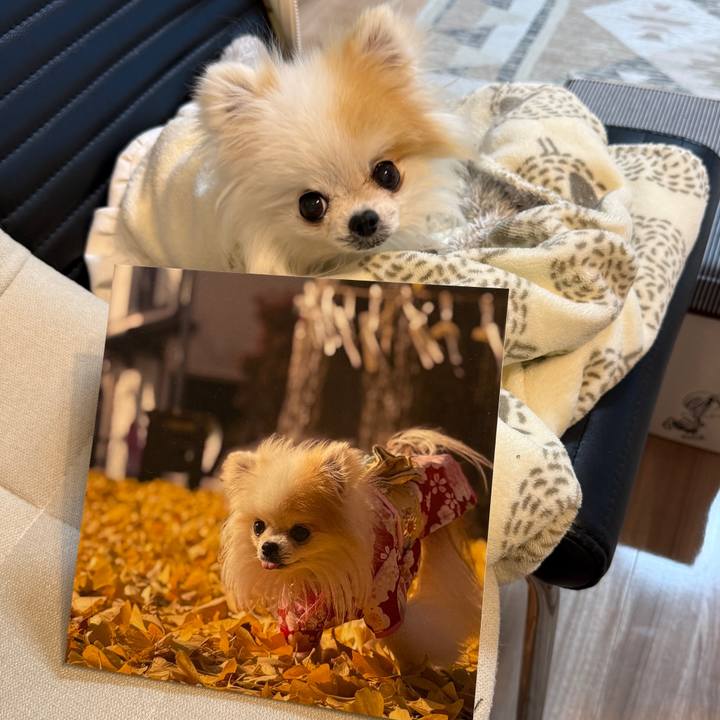 1731f86b 318e 4764 9e70 9aeac90c8581 1768219618360