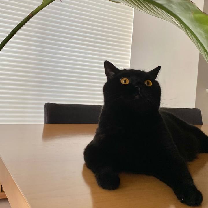 173228e9 c8d0 41ce b2ed 7346ab39ef44 1633742194832