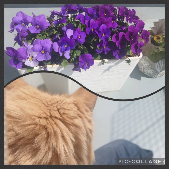 17324533 941d 432f bdd5 589e22e67896 1646363335746