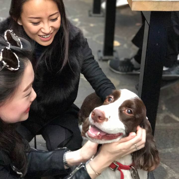 173254cb 3b77 44fb 8aff 763e2449434b 1511855550051