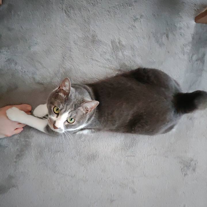 17326ee4 62c3 44d2 82cf 3ea29375db45 1653177788553