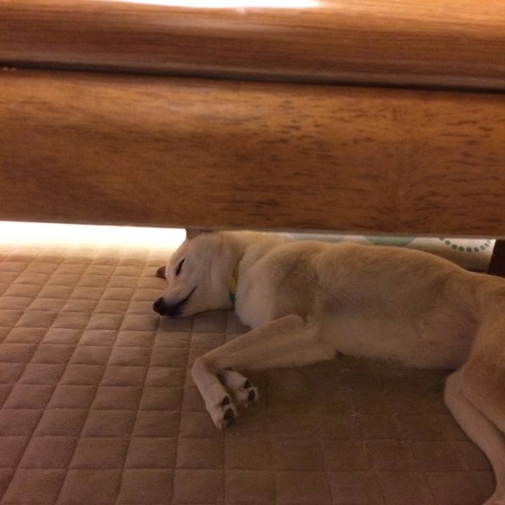 1732993c 3f36 420e 942b 820455c757c4 1535710686152