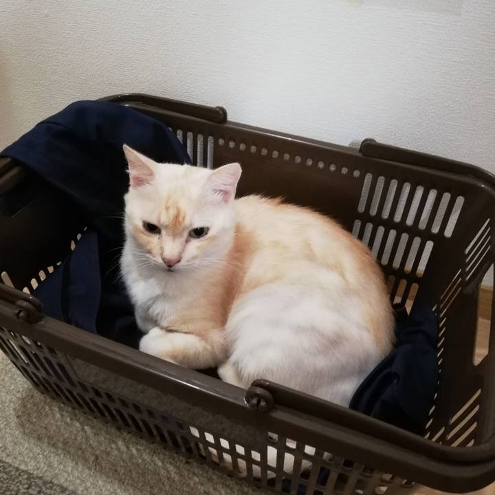 1732b251 c224 4710 b809 1f565313e408 1727906864600