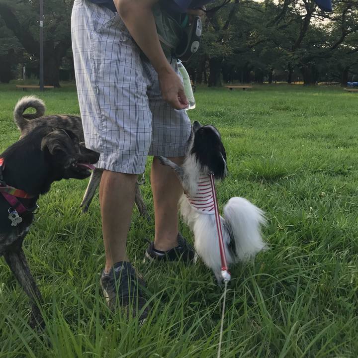 1732ca6e 6d7d 4290 8661 61d7d8046e06 1533216363441