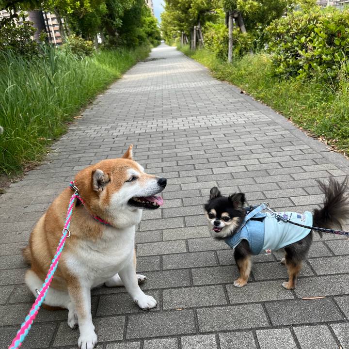 1732d3d2 bdeb 4d2c aa86 1e2347d61f10 1654416132294