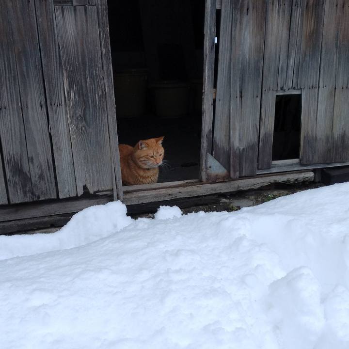 1732f324 7370 4da3 bb48 ed20dfe9ed91 1671342184512