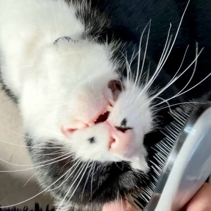 17330127 646e 40a7 92fb ac2228f8c47c 1733203192792