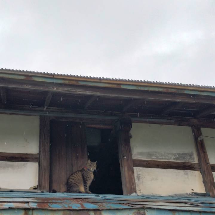 17333fbc 6031 4716 b384 271a0845fd5b 1688165325977