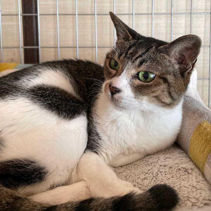 17338b95 ab5a 40d6 aa35 0d31bd871753 1659838087496