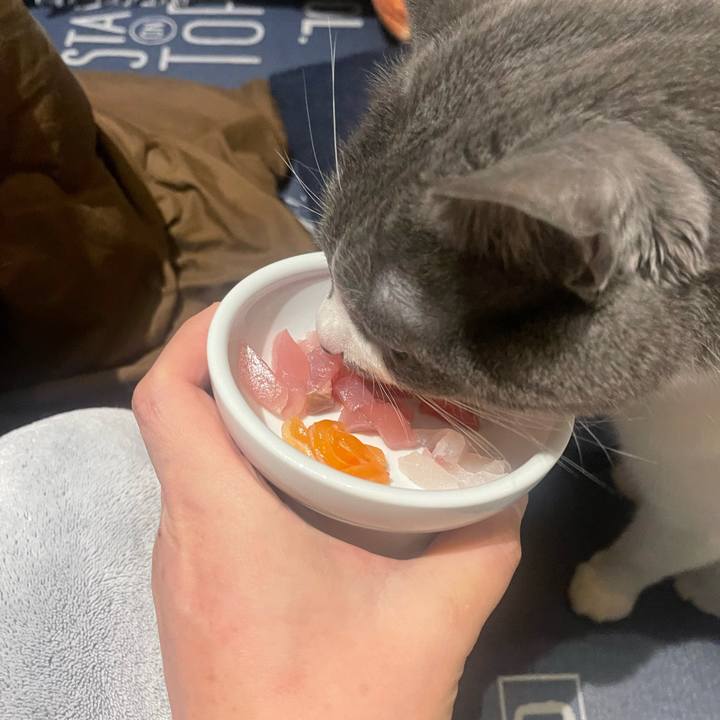 173395ea 49a5 4701 ad3c ee2a8c3a4ff8 1704019736022