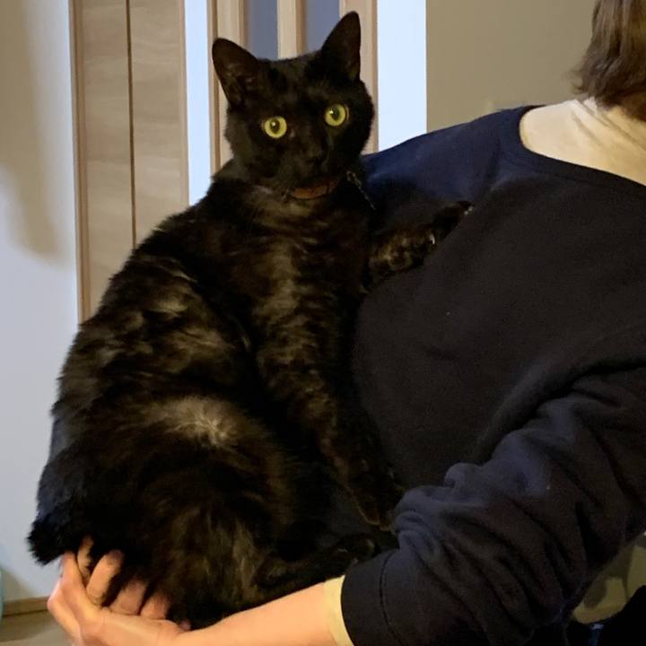 17342c46 fdba 4406 b640 26b91b4433ec 1579436432785