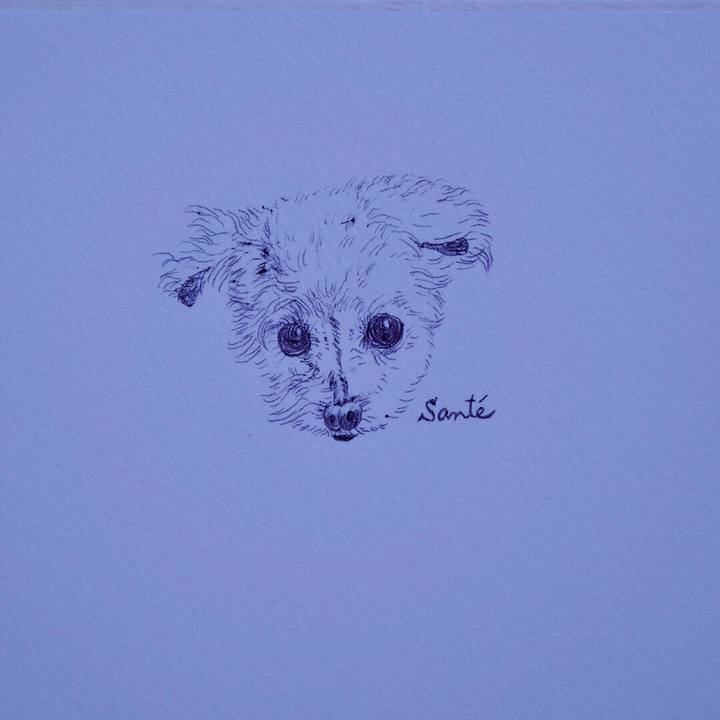 1734485f b28b 4e4c a357 876d7ea851ec 1757147695424