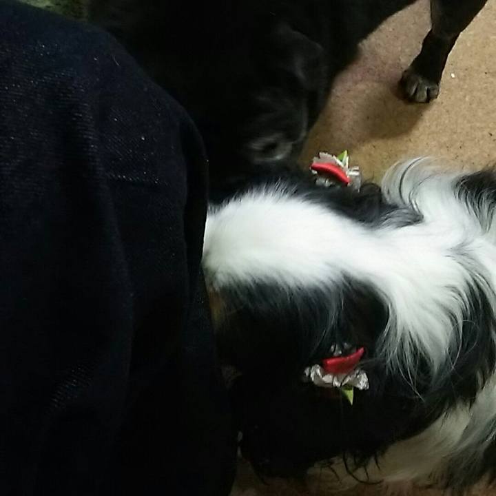 17344dbd f51f 4275 bc76 f4266f6ba0e4 1537629249056