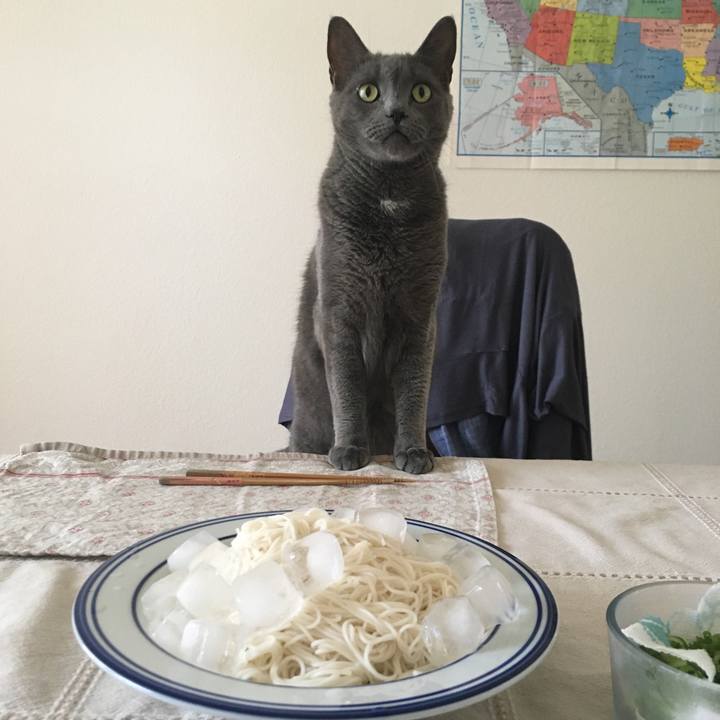 17345331 66bc 4d90 9021 e7a878acdf45 1659553271122