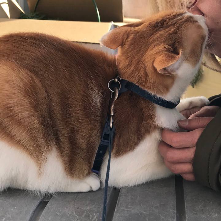 17347040 cec7 4382 93ec ad6e0fec94e3 1514601970511