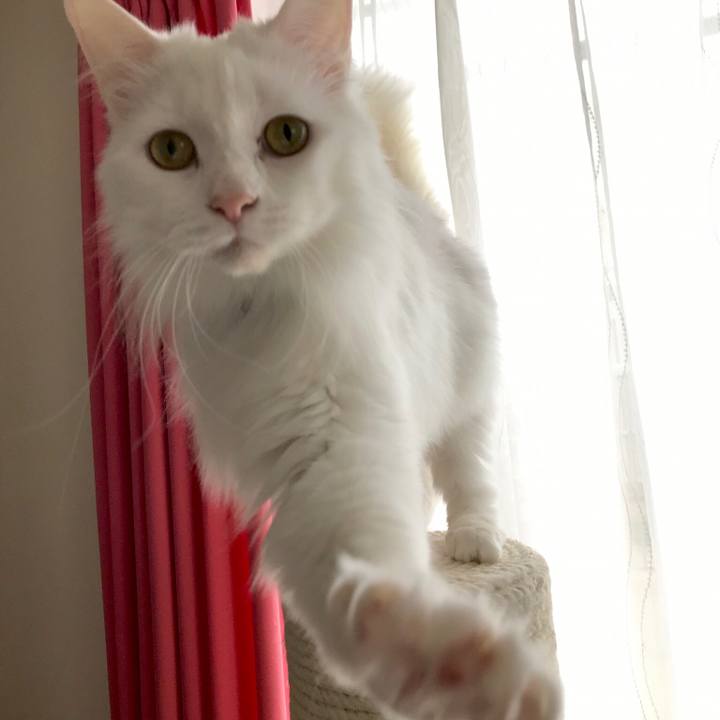 17347fe5 75ae 4044 a9c1 47255c52f36d 1557703240870