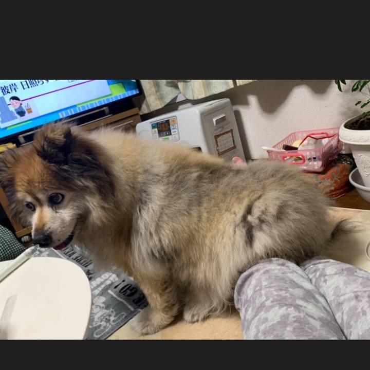 1734841f e409 4d2f b46d d4f2fa941130 1554980660459