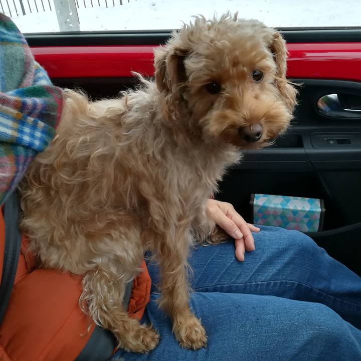 1734865e c9ca 4d1c b123 71de64cc1c52 1545527840112