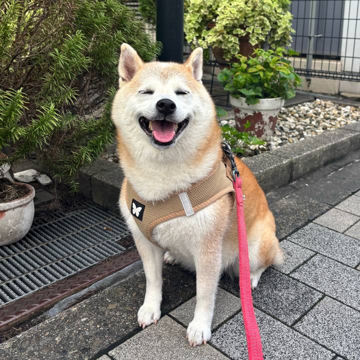 1734c6f9 9dbd 47e9 8f4e 1cb5ada47ead 1750970922711