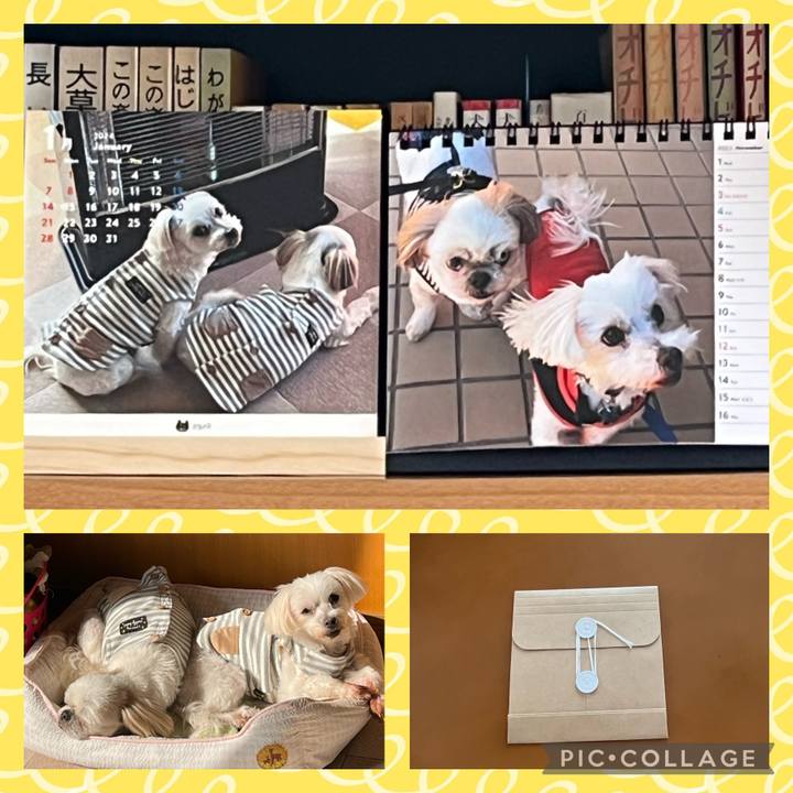 1734cf8b 2fcf 4bd4 9ccd 83fdad0c8fe9 1698812332484