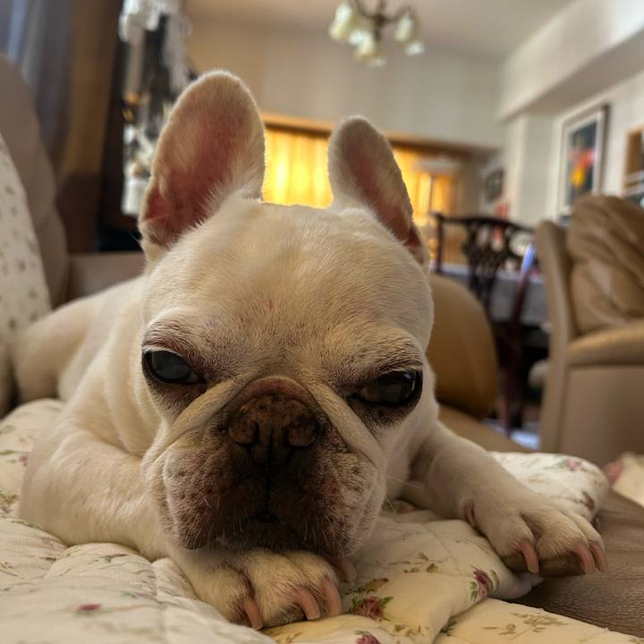 1734e74a c0c4 4a83 8a52 89da7c5fca3e 1755351153307