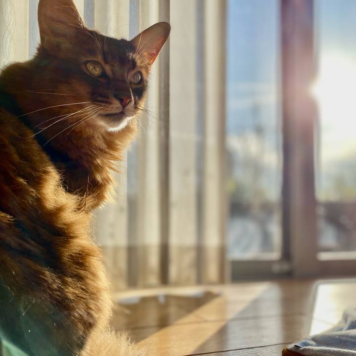 1734fff7 ee8d 499b b2d6 40ed32e641ad 1670565244584