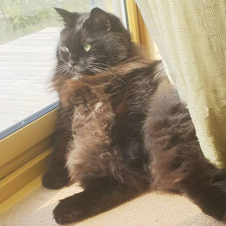 173504ee 4a60 49ef 8e27 f32735f1ef85 1539041300747