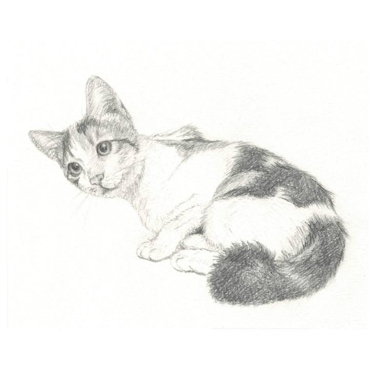 17350cbf 76c4 4bbf 8327 0b2893282d15 1539612771064