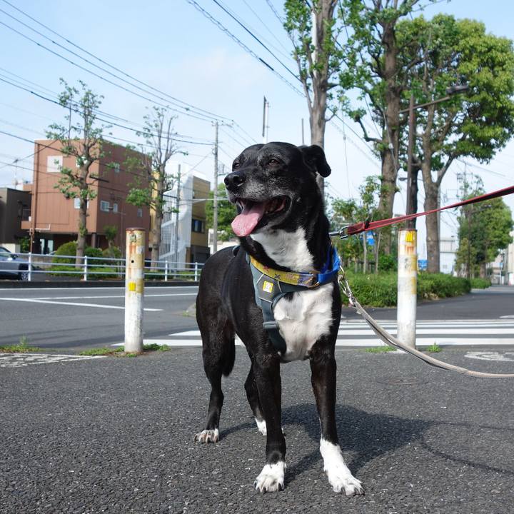 17354c19 c33d 4432 8be2 4aca2b4a0a16 1746321041682