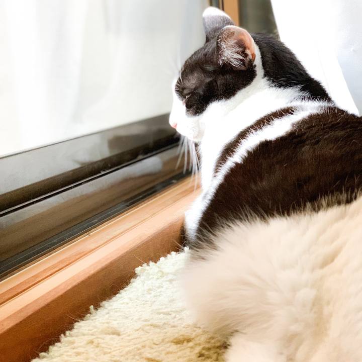 17354d74 4f64 4354 a763 4b82f502db67 1569723732070