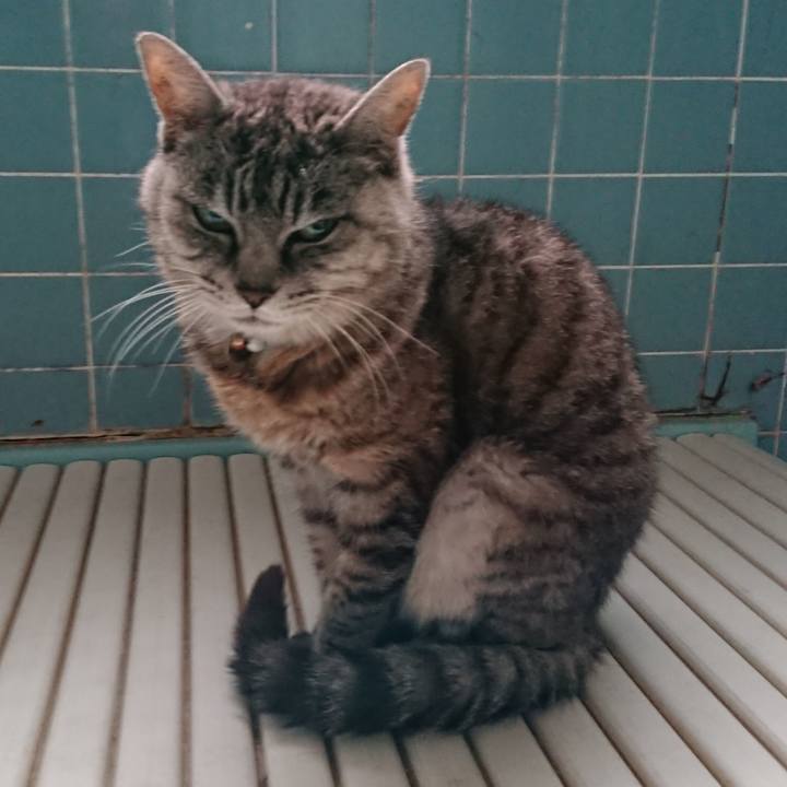 17357048 727e 4985 865d d163791c54db 1570411200742