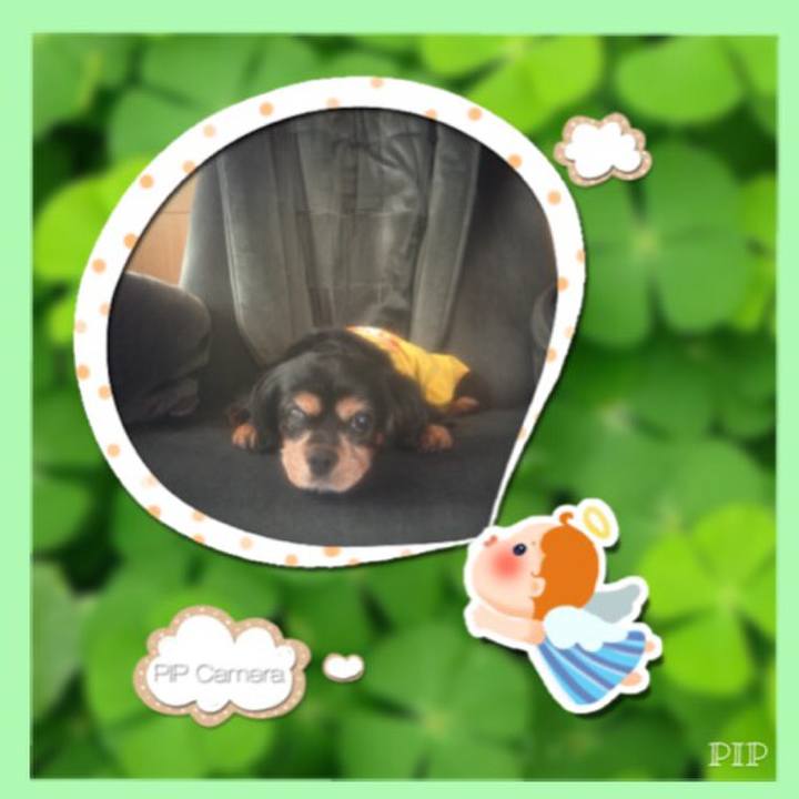 17358561 0a7c 408f 876c 85dd5bbadbb7 1509005596152