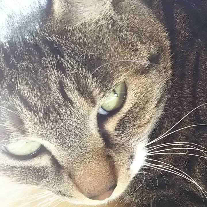 17359c41 44e0 476e 822f 6cca3f24ed7b 1614060022182