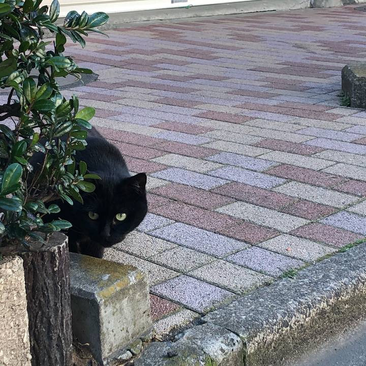 1735be7d 5ea3 491e a635 5cfb5ba2b239 1583132528889