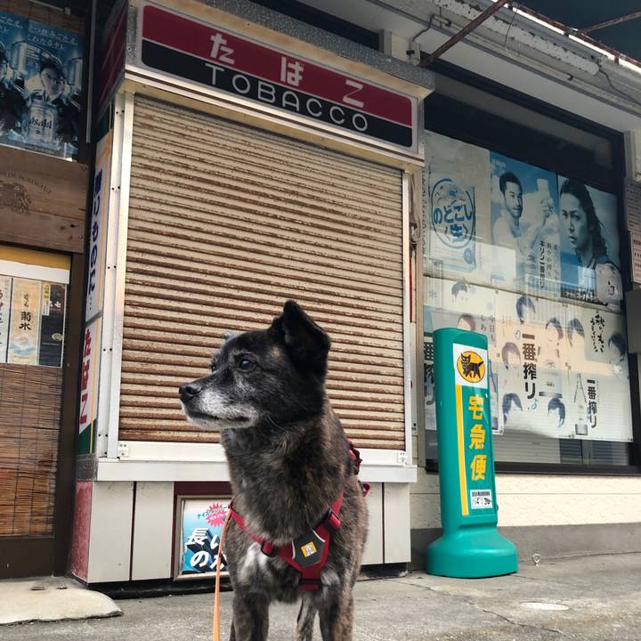 1735c871 3f57 4242 839d 86623364ca22 1620217722834