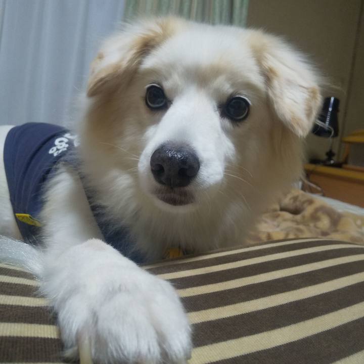 1735d648 e857 4126 a04f a8ad8c24febd 1637925210366