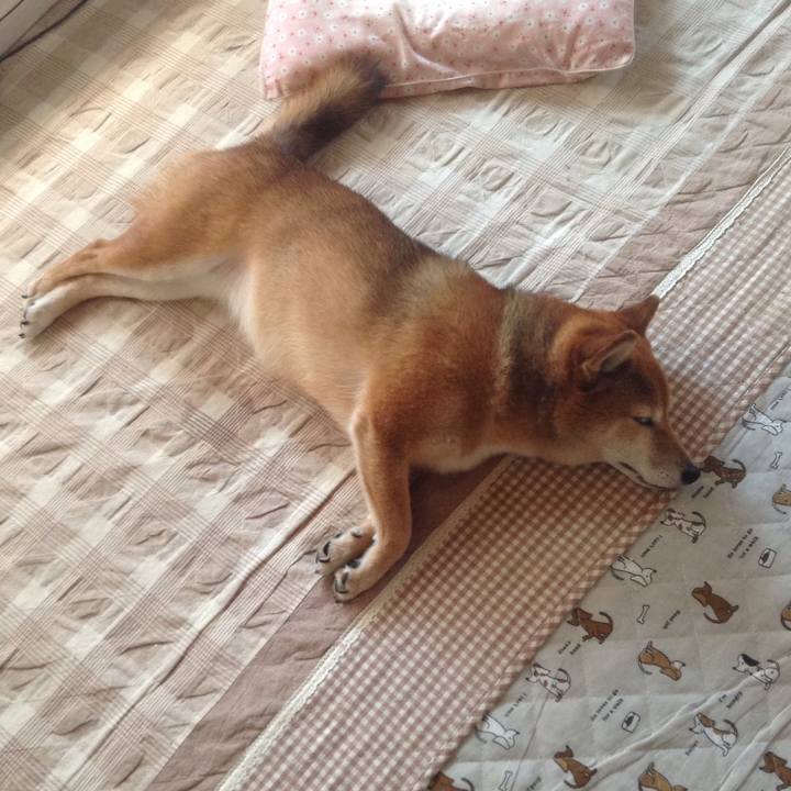 17360583 0ba9 4278 8c57 20cc08d36efa 1529928824698